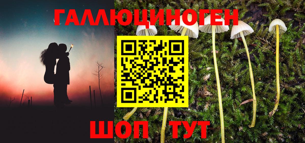 Псилоцибиновые грибы Cubensis  Псилоцибиновые грибы Magic Shrooms  Будённовск  Вход с VPN 